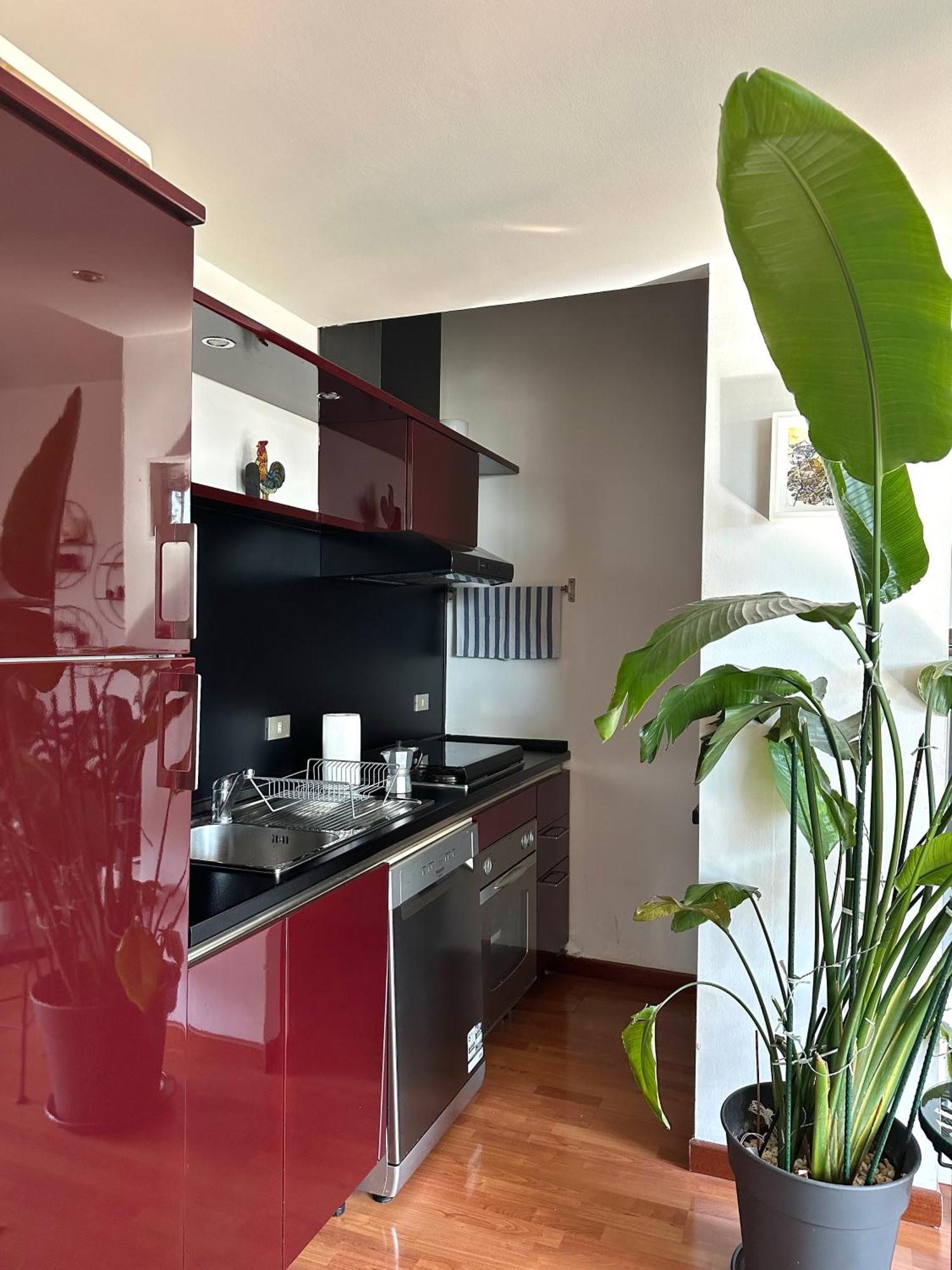 Urban Jungle - Attico Vista Duomo Apartment Milan Luaran gambar