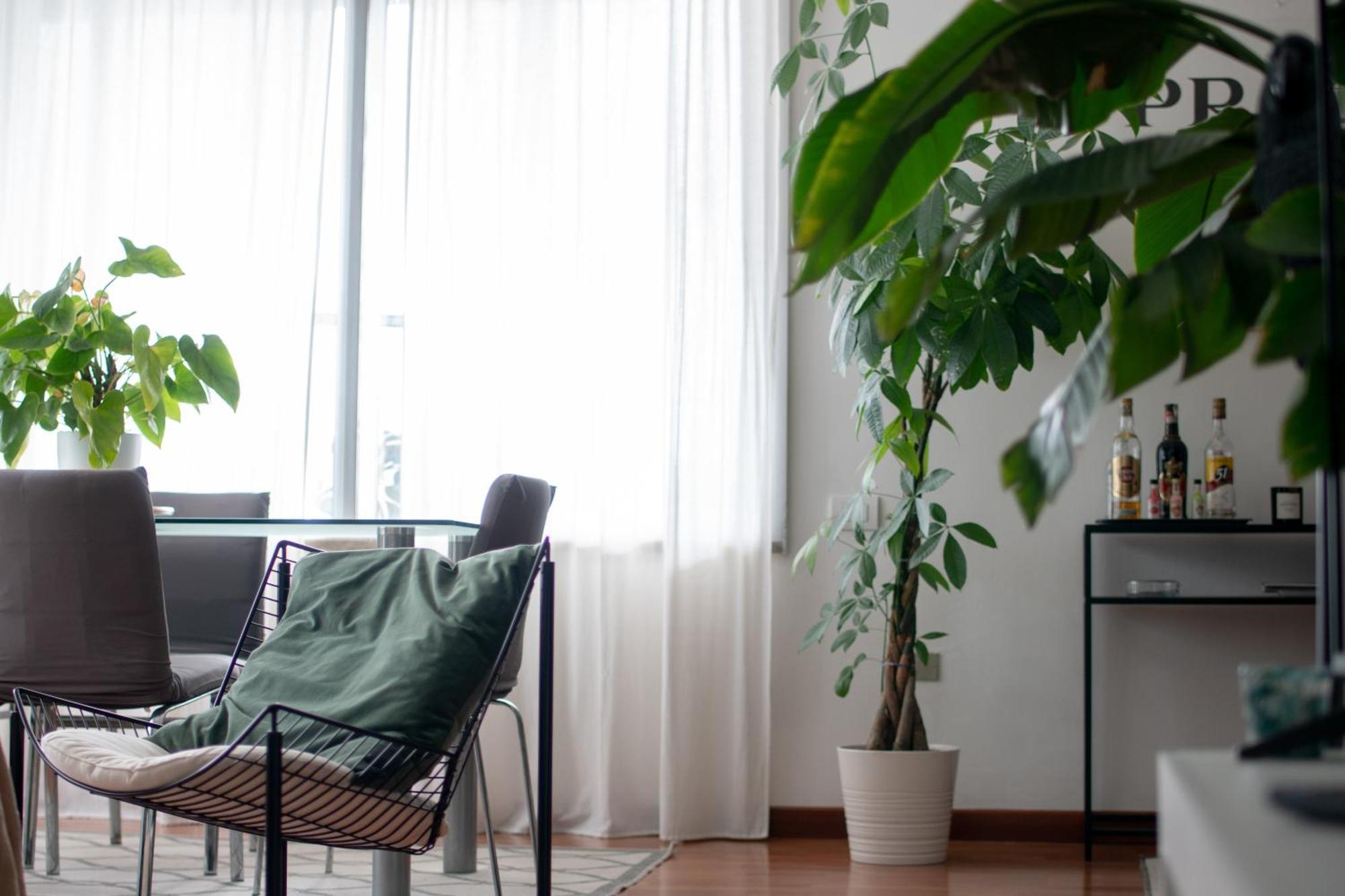 Urban Jungle - Attico Vista Duomo Apartment Milan Luaran gambar