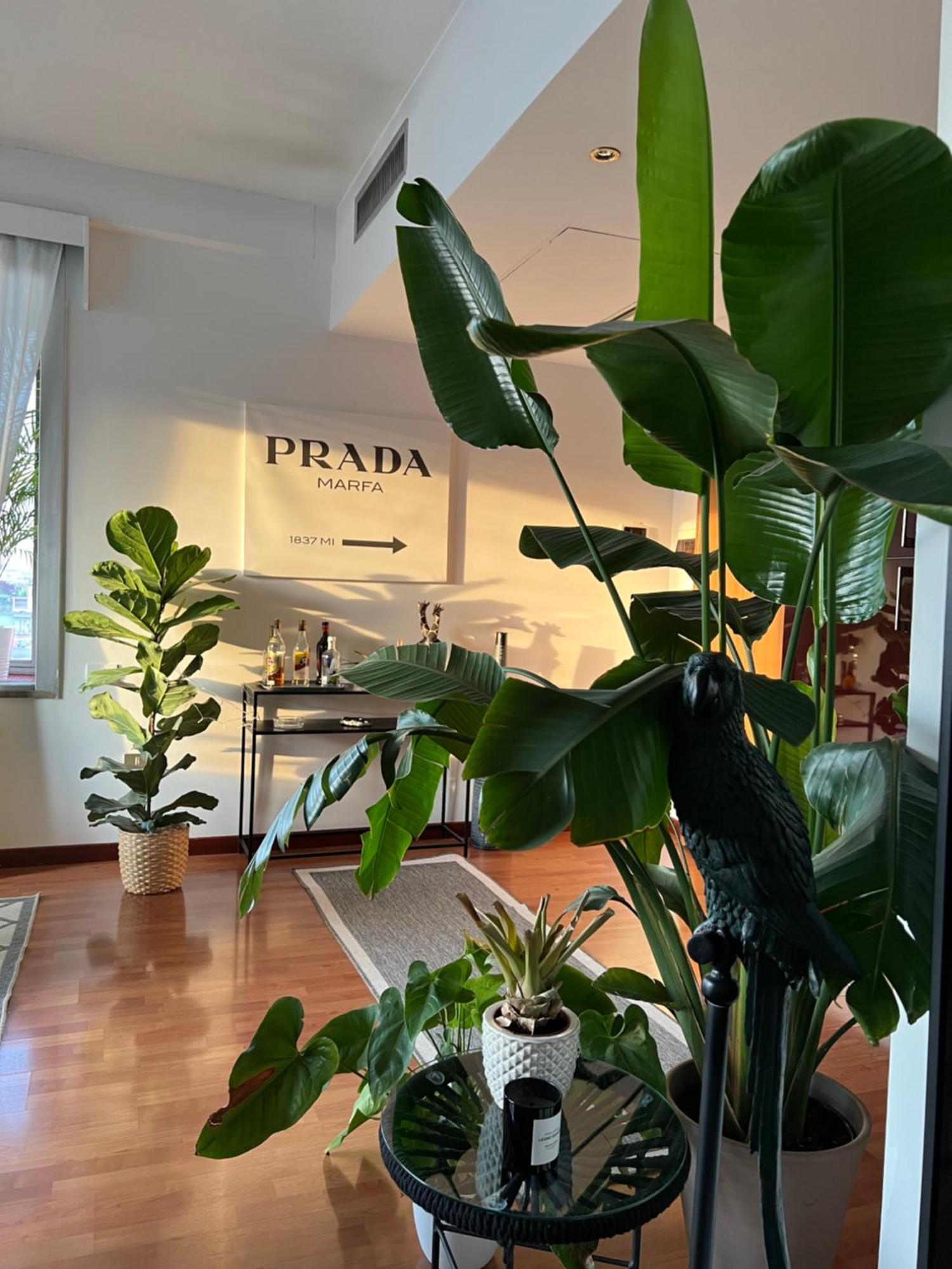 Urban Jungle - Attico Vista Duomo Apartment Milan Luaran gambar